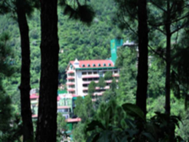 Baba Resorts Dharampur Dharampur  Luaran gambar